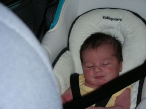 DSCN0135.JPG Spencer in car seat