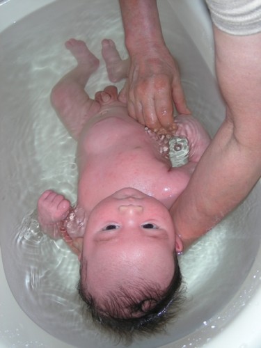 dscn0164 Obachama giving Spencer a bath in his new tub (which he's already filling up!)