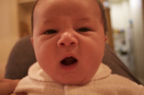 yawn